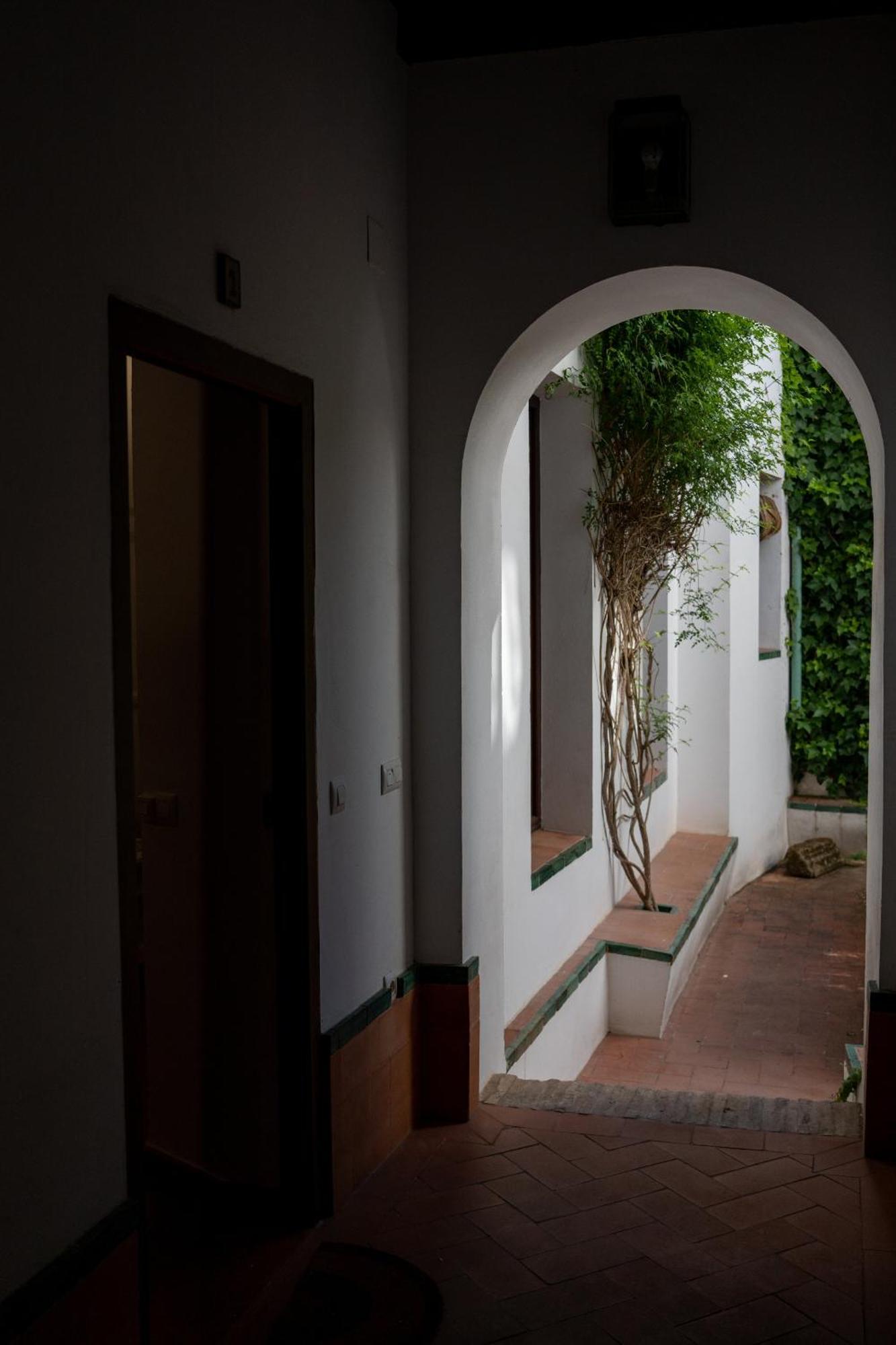Apartamento Patio De La Hoguera *